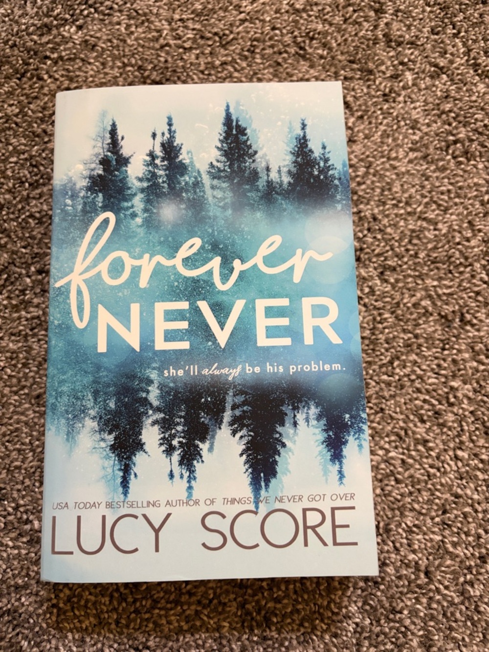 Forever Never by Lucy Score